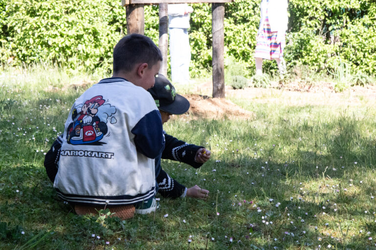 cour_ecole_ferry_genlis_2026_10