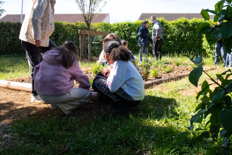 cour_ecole_ferry_genlis_2026_13