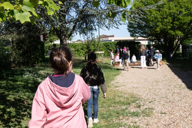 cour_ecole_ferry_genlis_2026_7