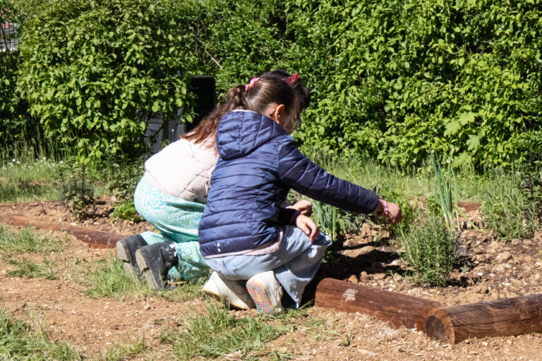 cour_ecole_ferry_genlis_2026_8