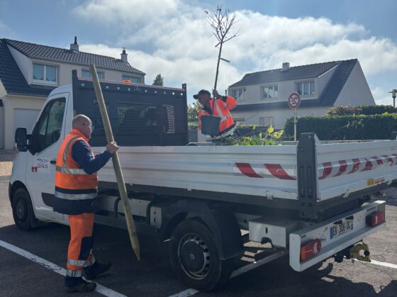 170 arbres livrés aux habitants de Genlis
