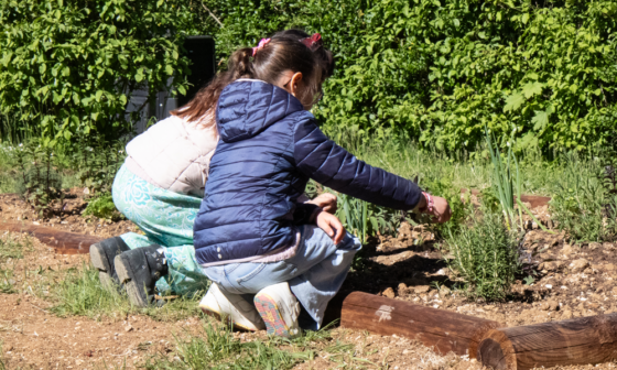 La cour de l&rsquo;école Jules Ferry redessinée